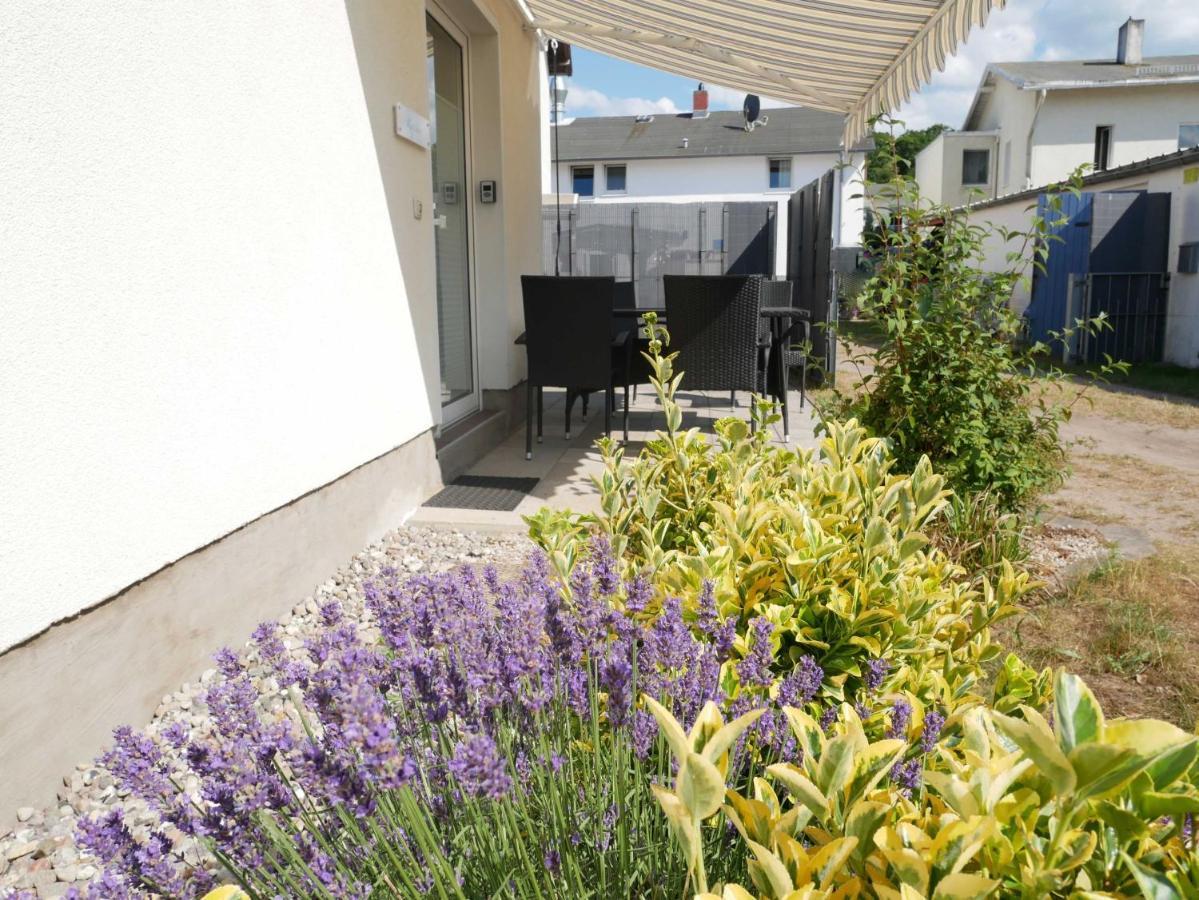 Ferienwohnung Zur Ostsee 3 Zinnowitz Ngoại thất bức ảnh